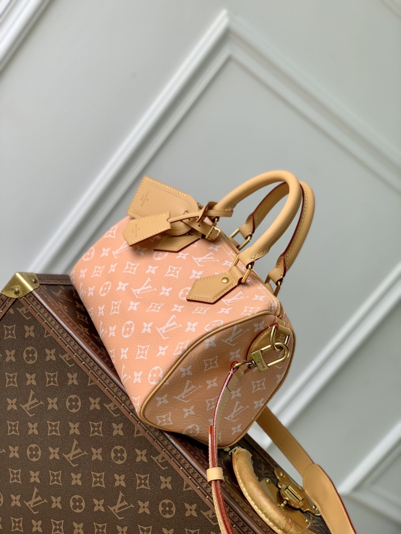 LV Travel Bags